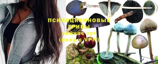 a pvp Володарск