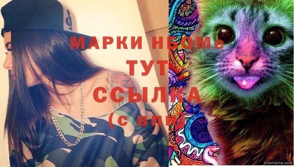 a pvp Володарск
