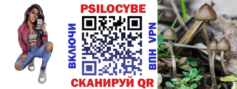 Псилоцибиновые грибы Psilocybine cubensis  Купить закладки  Сорочинск 